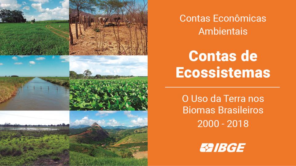 Brazil Ecosystem Extent Accounts, 2000-2018