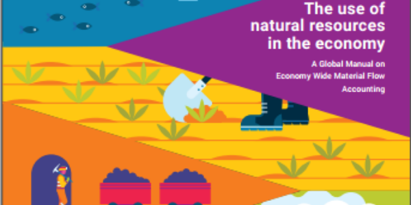 Economy Wide Material Flow Accounts And The Sustainable Use Of Natural Resources In The Economy System Of Environmental Economic Accounting Economy Wide Material Flow Accounts And The Sustainable Use Of Natural Resources In The Economy System Of Environmental Economic Accounting