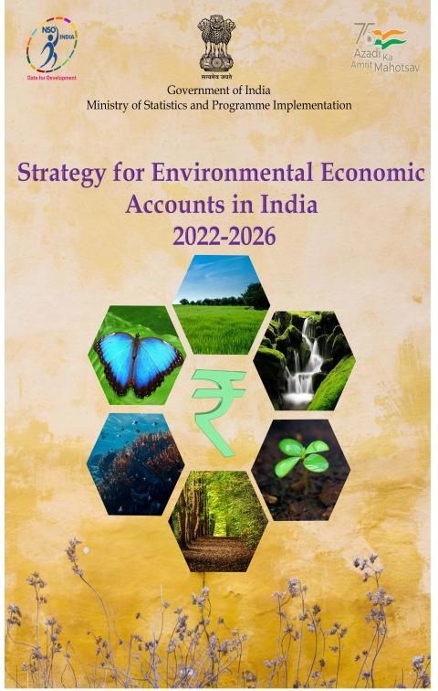 research paper on environmental accounting in india