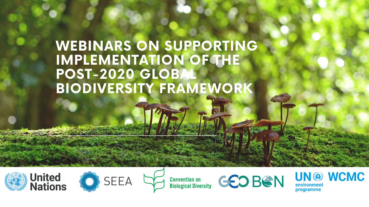 Webinars on Supporting Implementation of the Post2020 Global